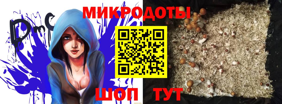 Кушва  закладки  Вход с VPN  Псилоцибиновые грибы Psilocybe 